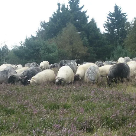 Апартаменти Inge Steinruecken Вінтерберг