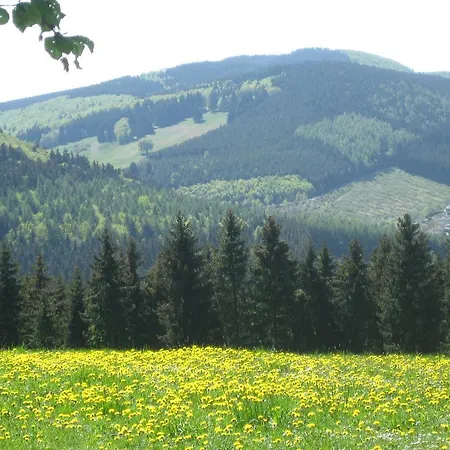 Апартаменти Inge Steinruecken