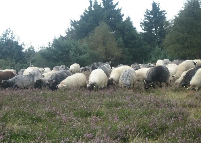 Apartment Inge Steinruecken Winterberg